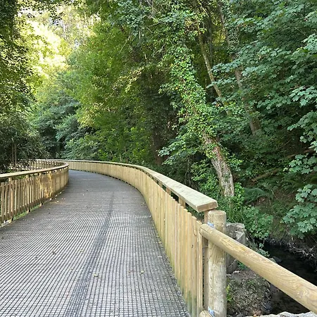 Mar Y Playa Con Jardín