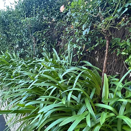 Mar Y Playa Con Jardín